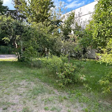 Dom Berka * 소포트